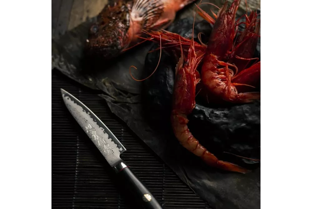 Використання ножів Yaxell у вуличній та похідній кулінарії