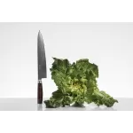 Стійкість ножів Yaxell до відколів: вплив кута заточування та геометрії