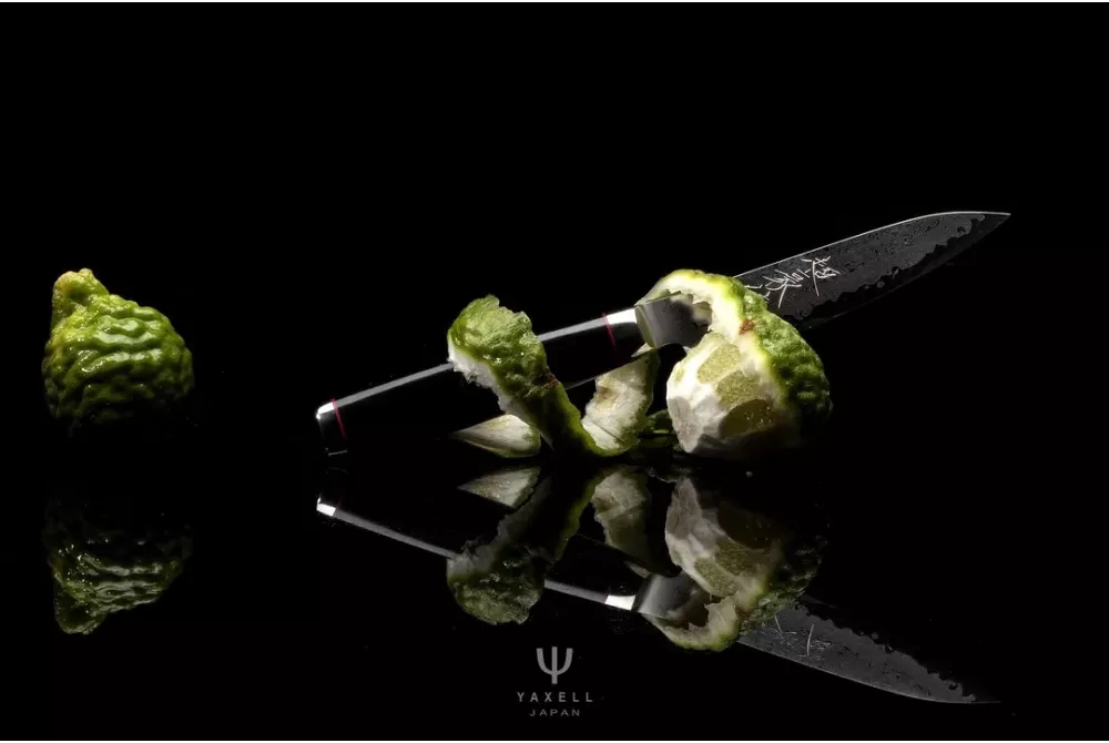 TAKEHISA і SUPER GOU YPSILON Yaxell - вибір між елітними серіями японських ножів