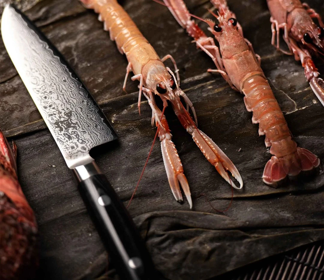 Гострота VG10 у ножах Yaxell Ran особливості збереження